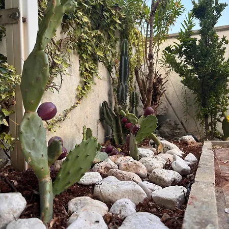 Greta's House Selva Del Turchese